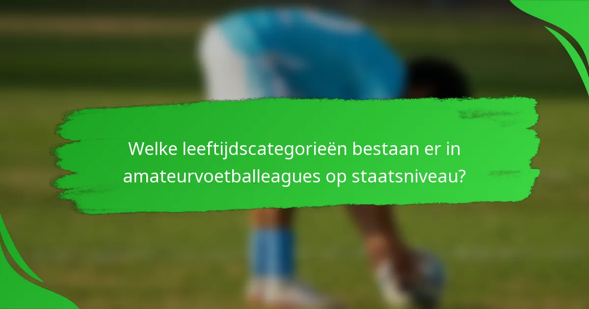 Welke leeftijdscategorieën bestaan er in amateurvoetballeagues op staatsniveau?